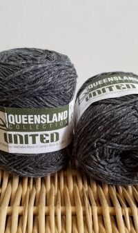 Queensland United 20-29