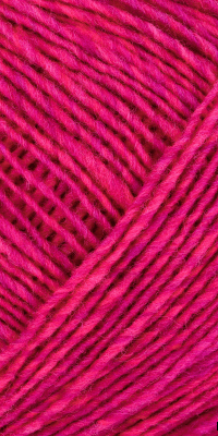 Noro Malvinas 02 -34