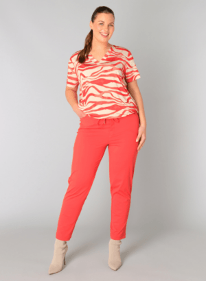 A005173 veroni