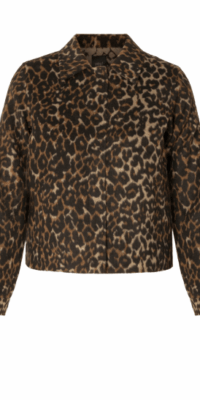 Yest curve Gwendoline